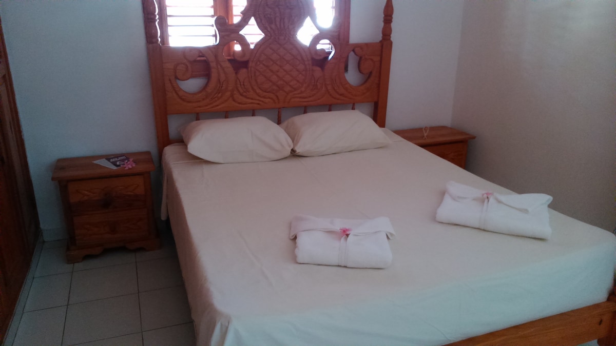 蓬塔卡纳（ Punta Cana ） 1卧室公寓式酒店2