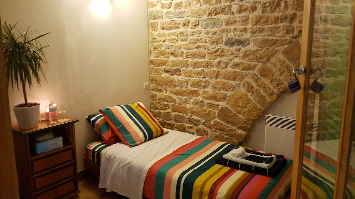双床客房复古复式公寓-里昂市中心
