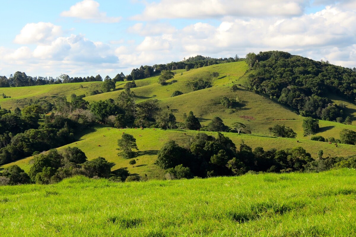 马莱尼泉农场（ Maleny Springs Farm ） 100英亩豪华房屋， 8公里