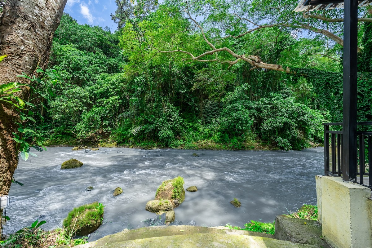 带河景的丛林氛围环保平房泳池