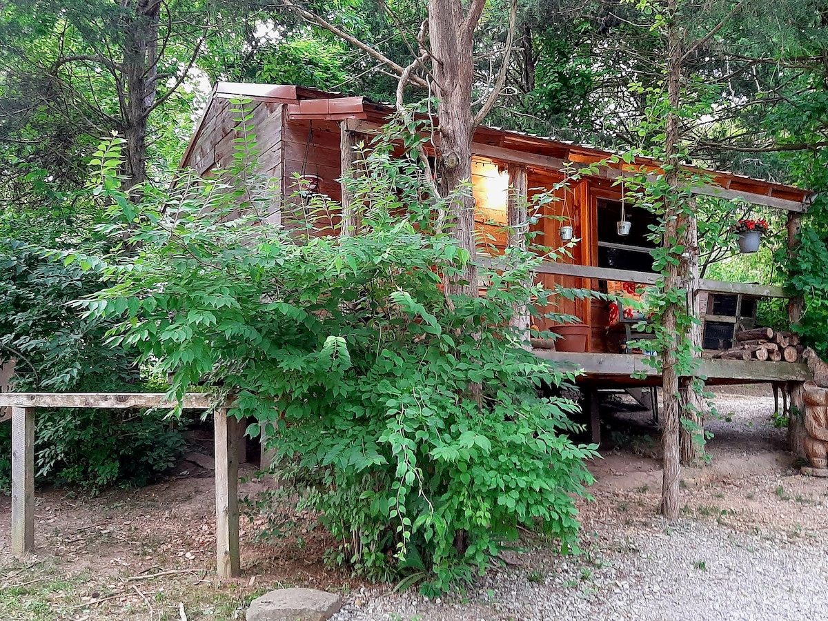 Wildvine Homestead / Cozy Cabin