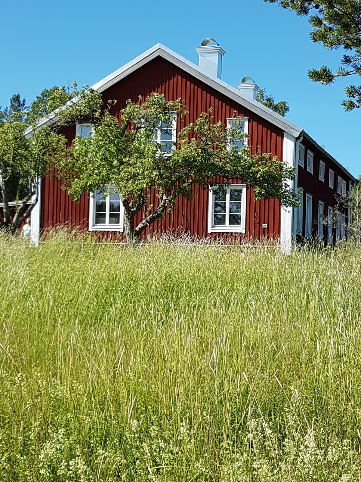 Höga Kusten Härnön宽敞的湖畔农场