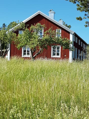 Grönsvik的民宿
