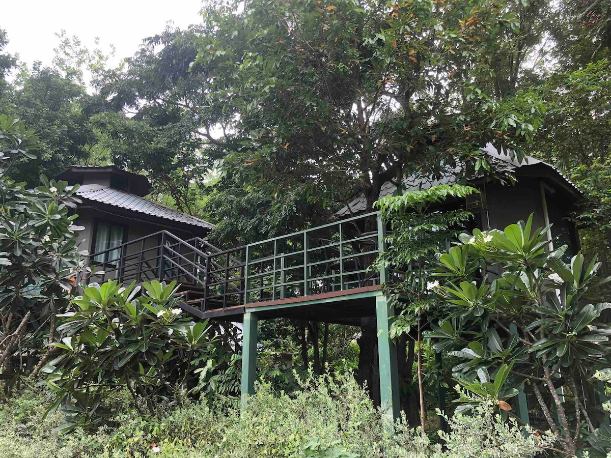 JungJa小屋# Treehouse @ River Kwai