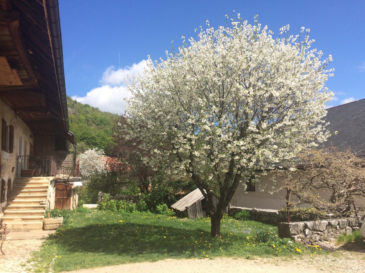 Savoie, "Entre terre et pierre" Arith/Bauges cottage