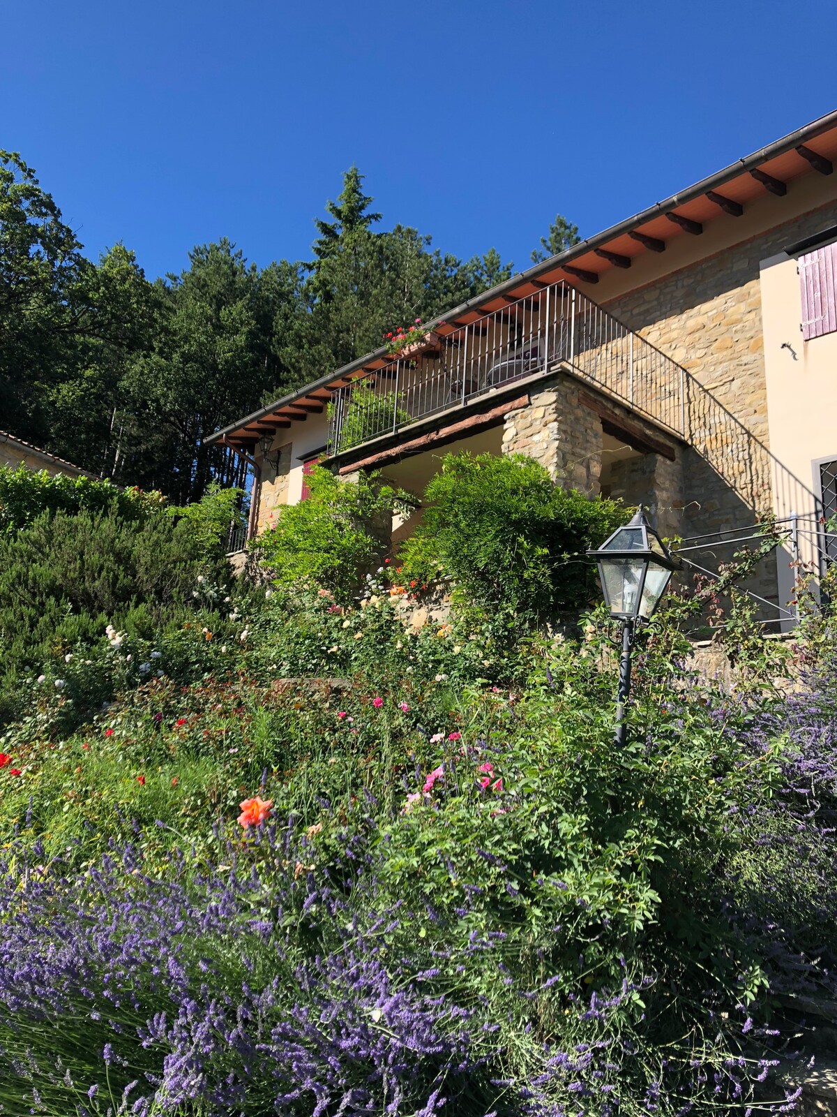 Podere Linari Wisteria Terrace