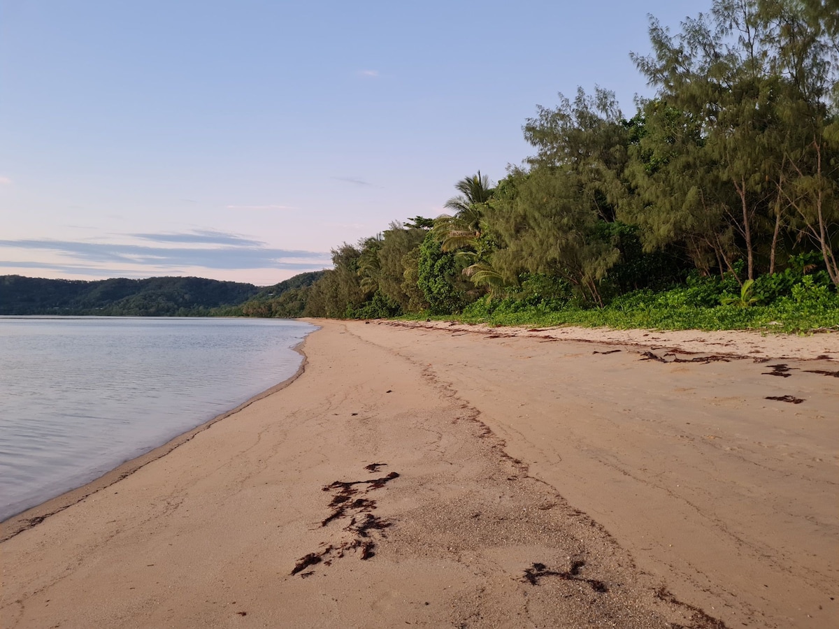 在FNQ的Daintree雨林的边