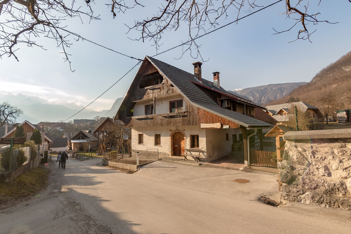 Katja公寓/山景/靠近Bohinj湖