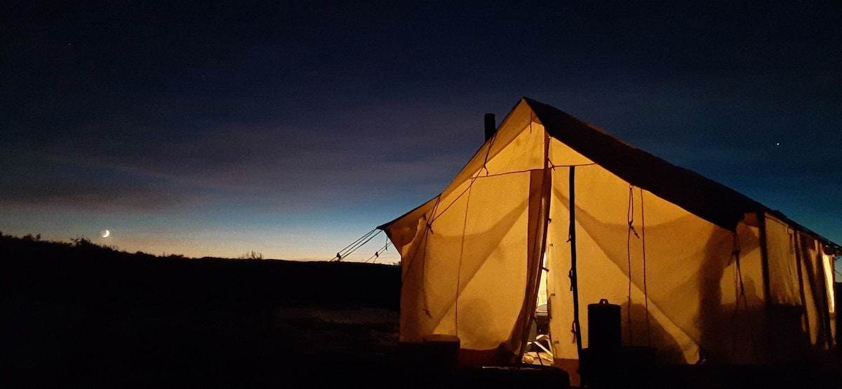 Onion Creek's hot tent under the grandfather oak.