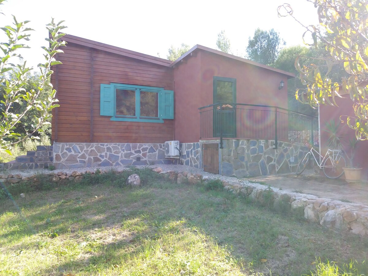 Sala de Yoga, multiusos en naturaleza + habitación