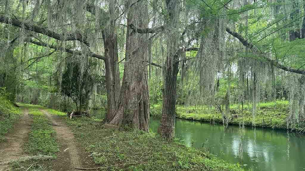 Rancho La Florida