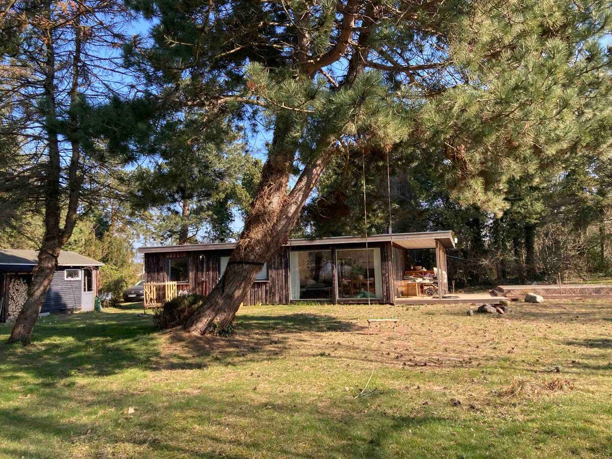 Lovely cabin with fantastic garden