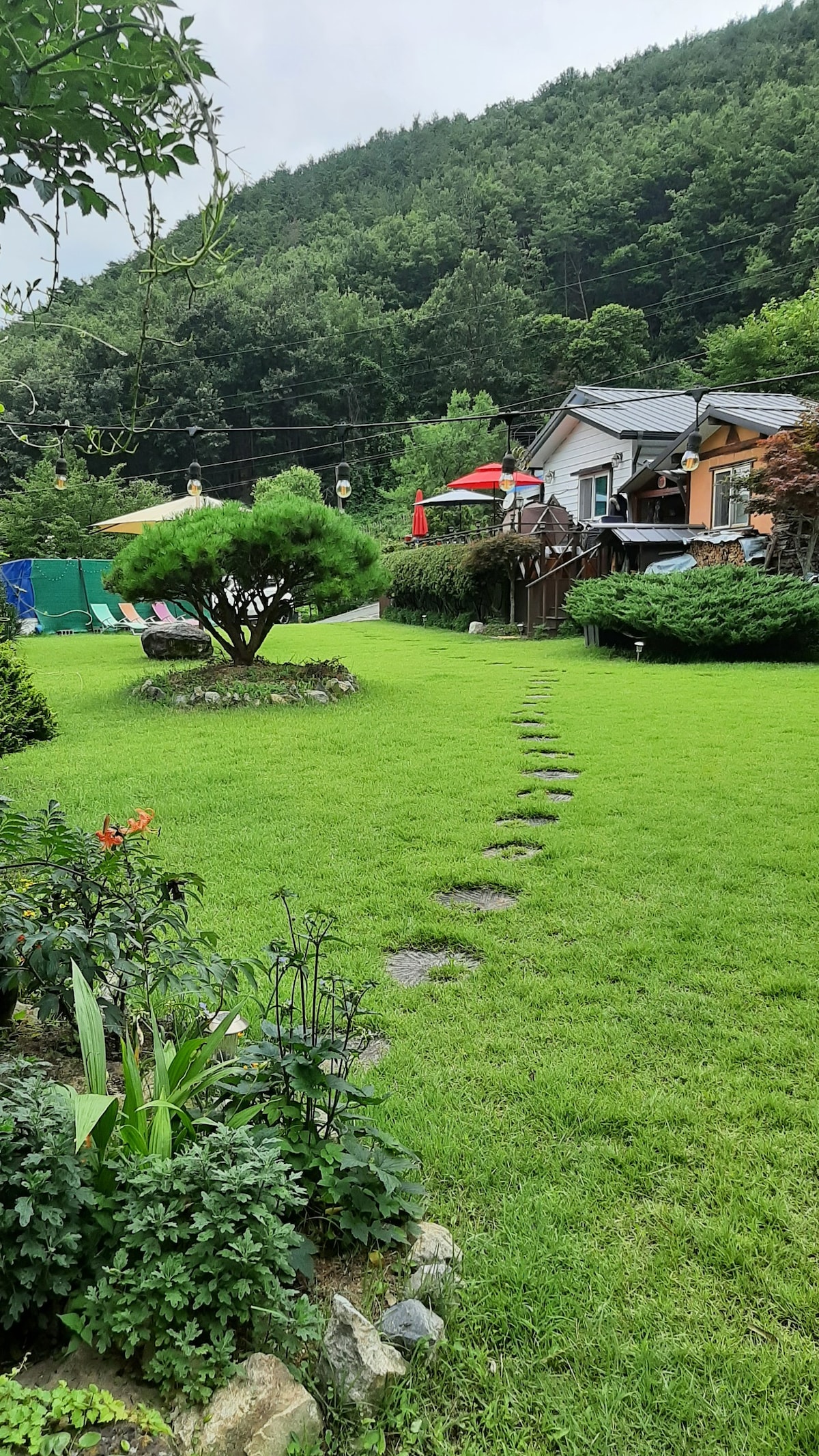Millyang:)绿色草地上风景如画的房子