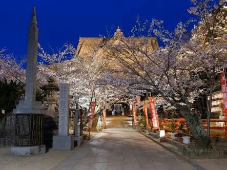 35 子供連に関空・大阪~60分駅徒歩7分40㎡、無料駐車場・貸自転車、ビーチ、マリナシティ、