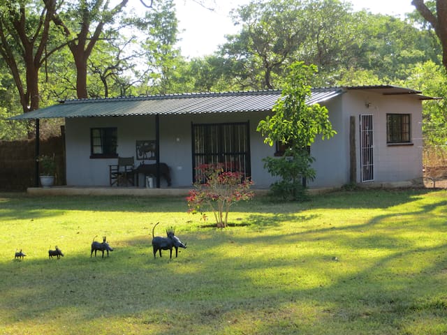 路沙卡(Lusaka)的民宿