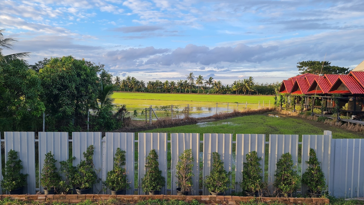 Farmstay in Thai countryside -4