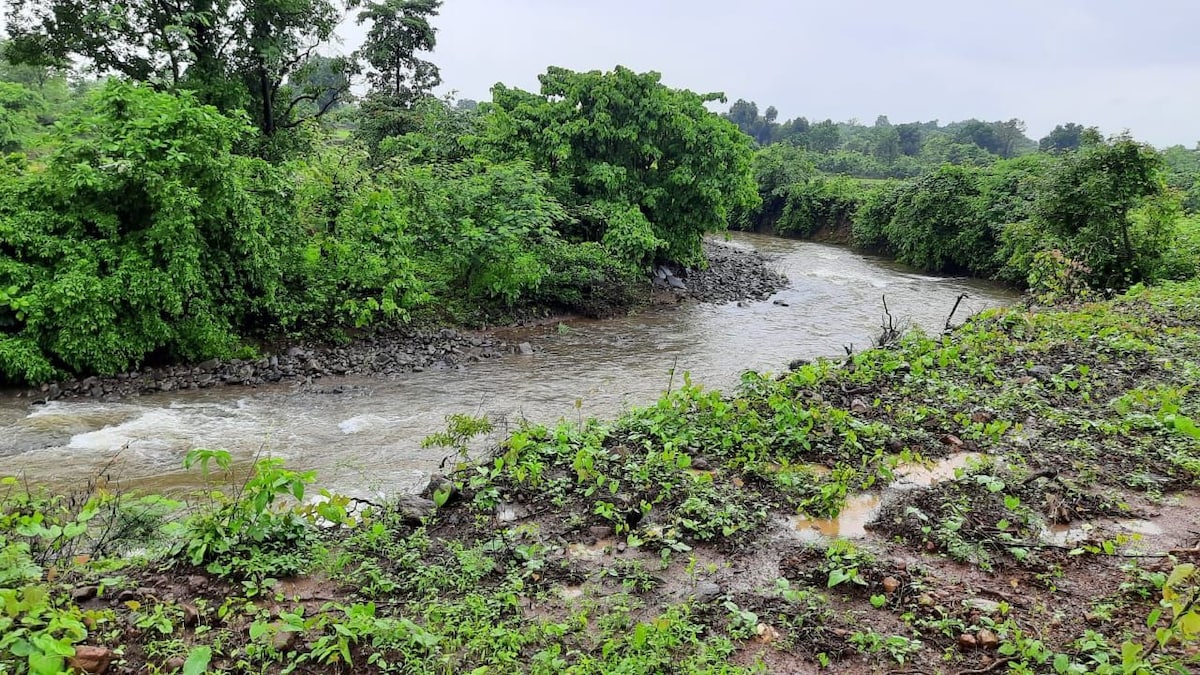 Umrigar Agro农场
Bhimashankar Hill