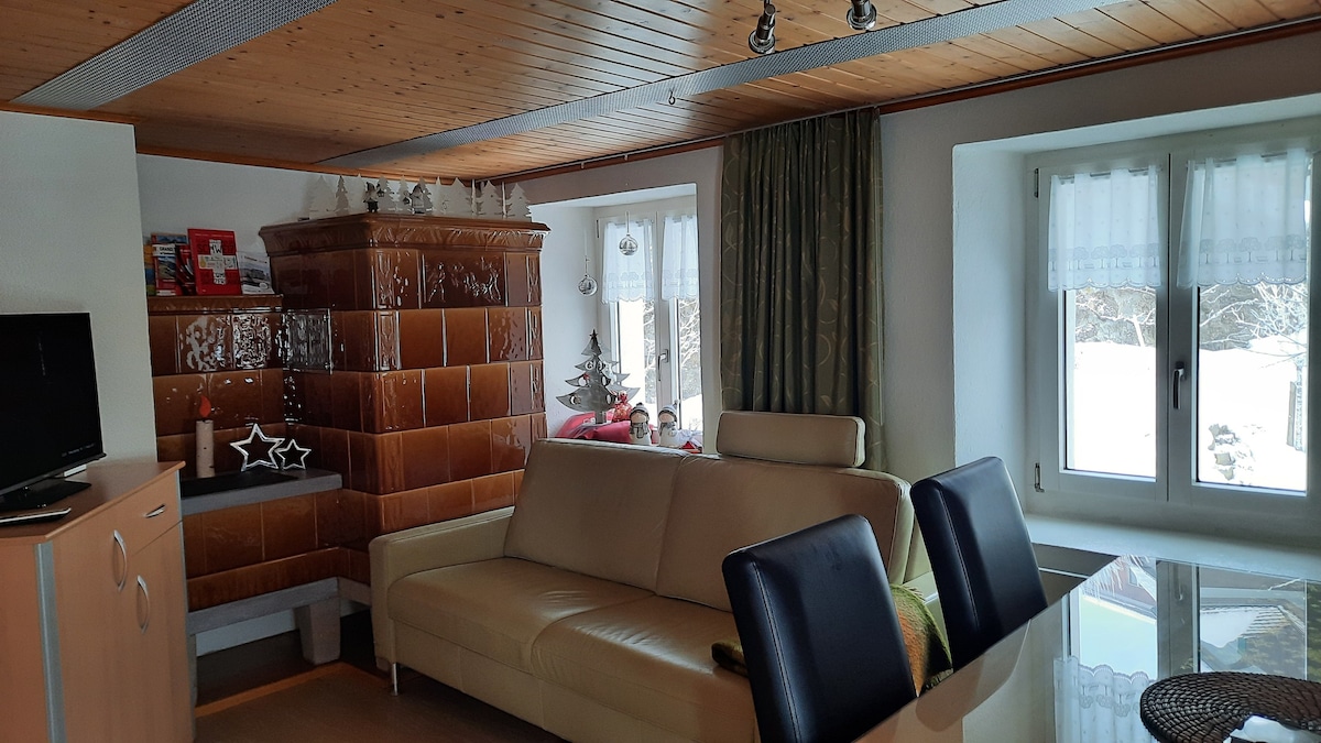 位于瑞士中部Sattel的舒适公寓