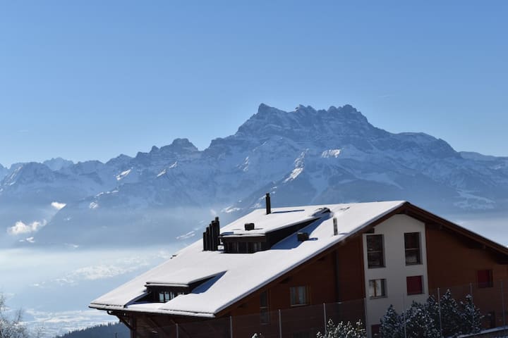 莱森 (Leysin)的民宿