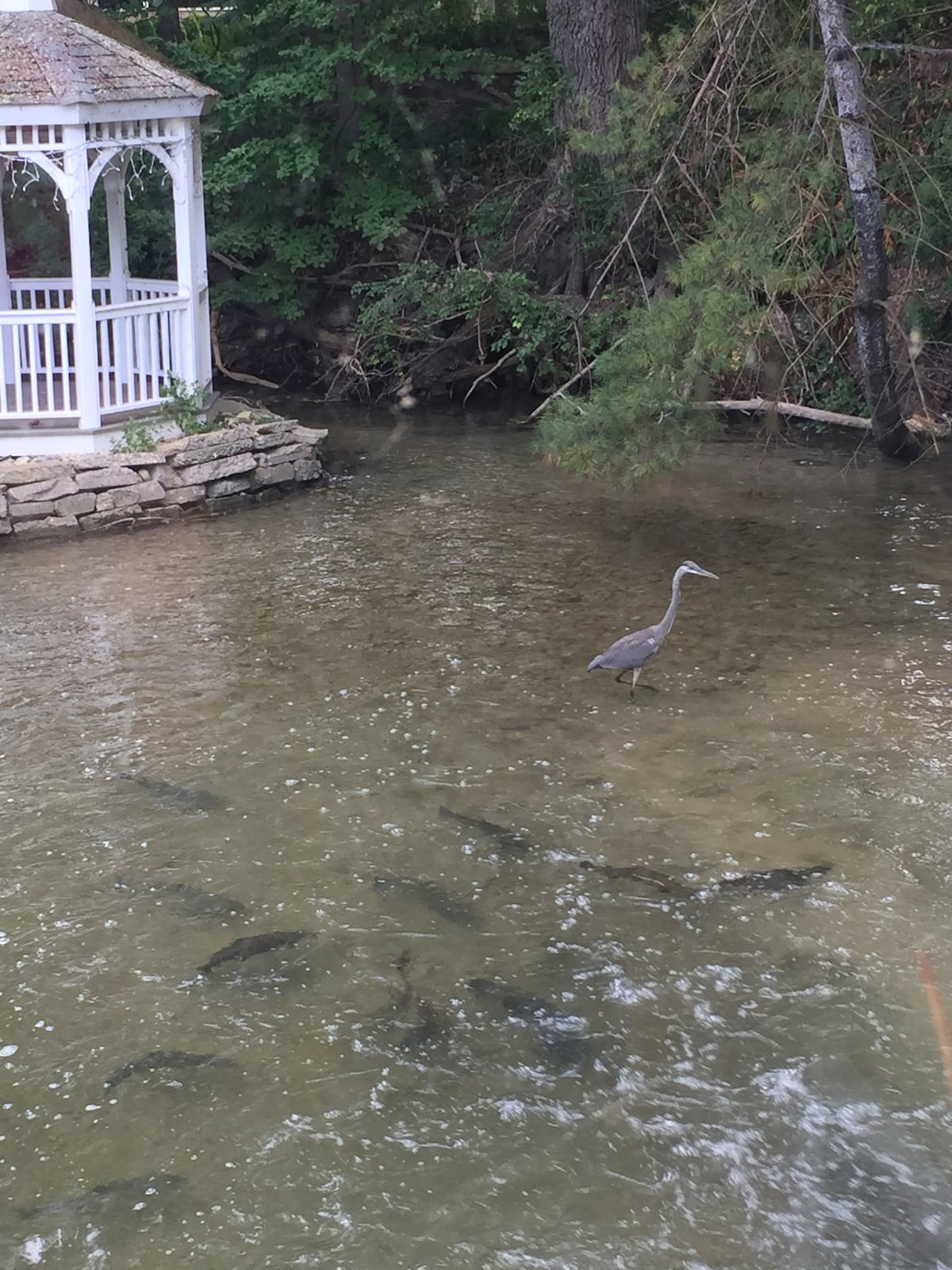 The Gristmill Apartment