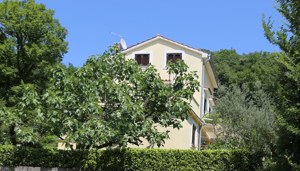 New, sunny apartment surrounded by nature