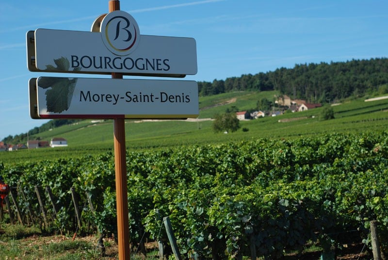 Maison Vue sur Vignes dans ancien Domaine Viticole