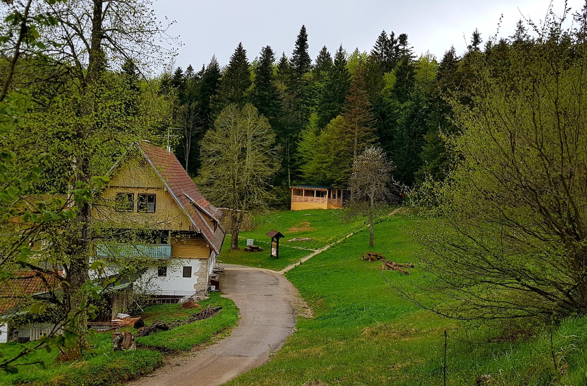 Mountain Home Travna Gora, 102, 
Slovenia