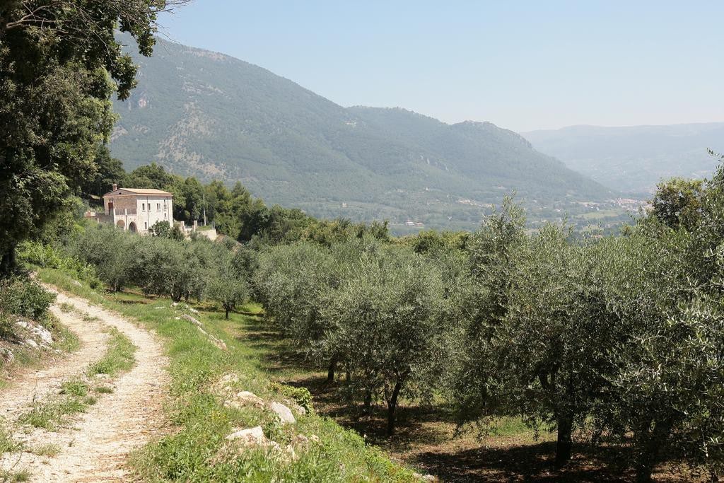 Antico Casolare Ceselenardi - Casa Vacanze