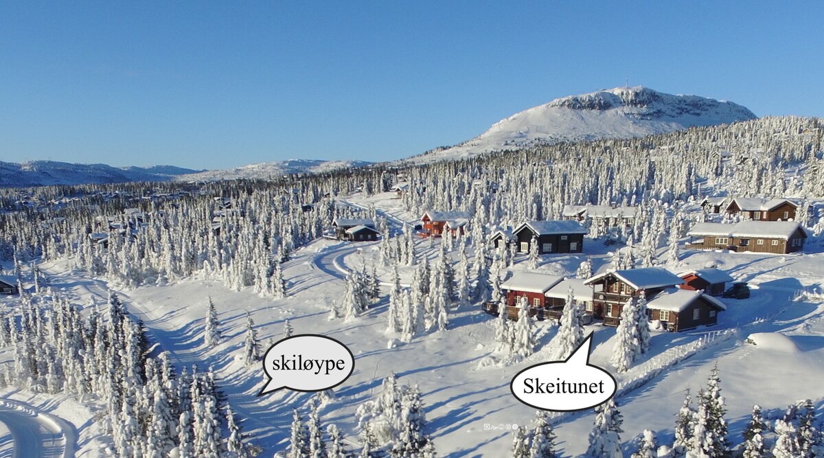 SKEITUNET ，在Skeikampen滑雪场，可容纳18人。