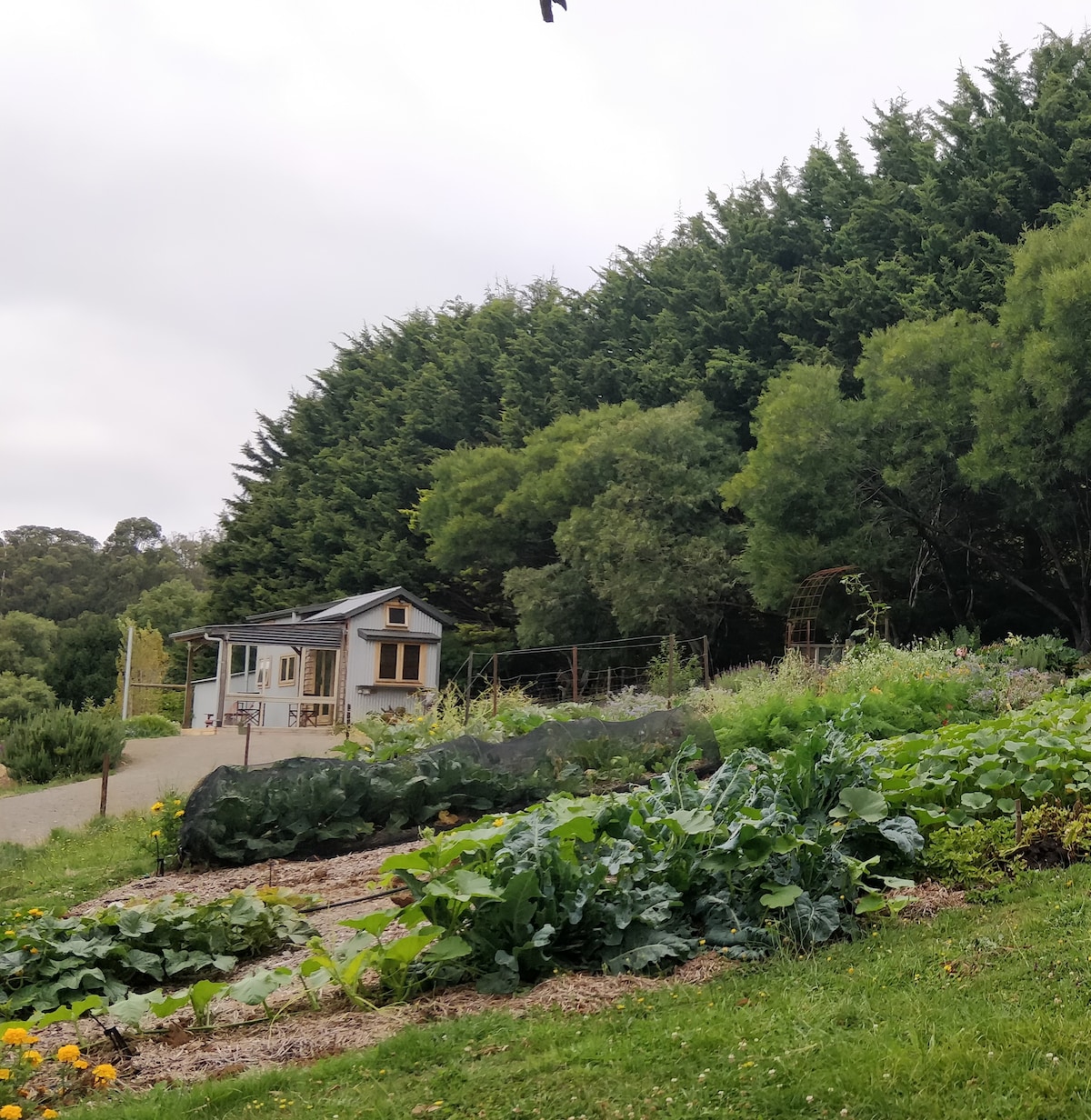 Forest Way Farm Tiny House