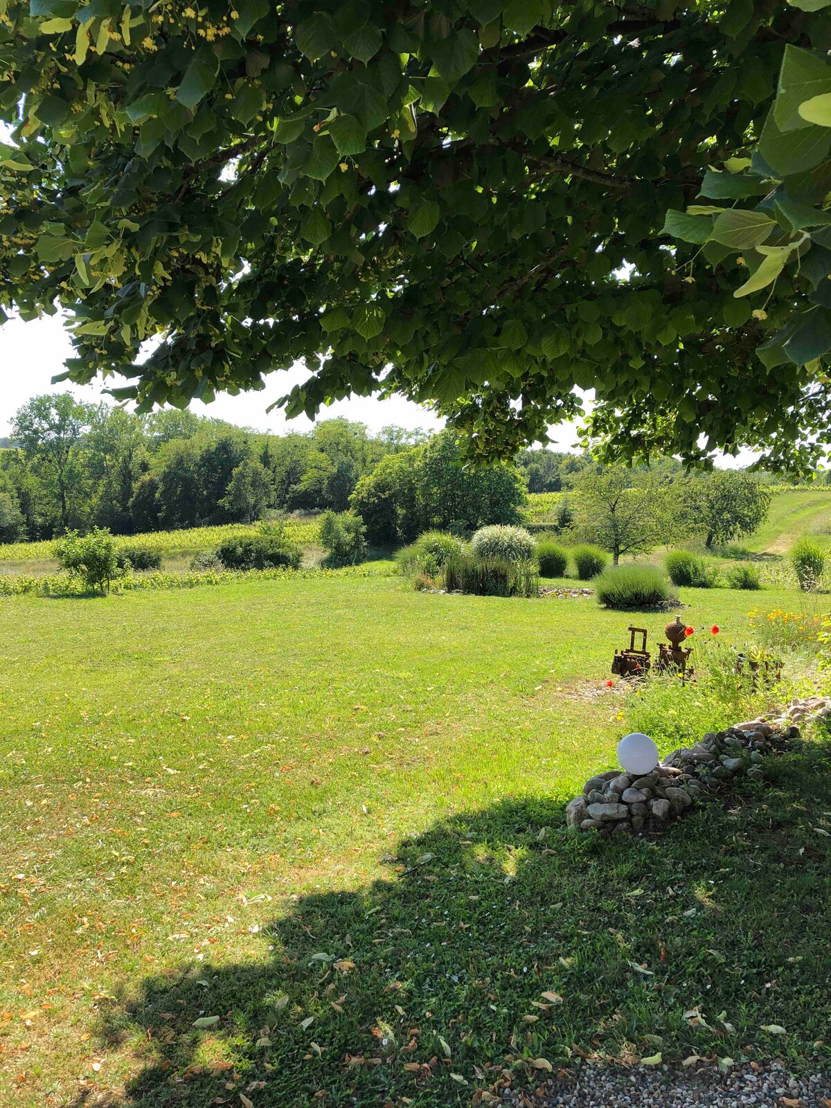 Domaine Charruaud Maison Calypso Piscine privée