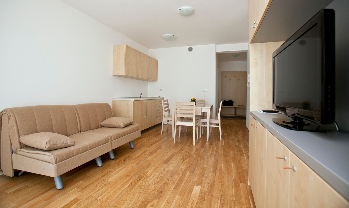 Apartments Proteus (Two Bedroom Apartment)