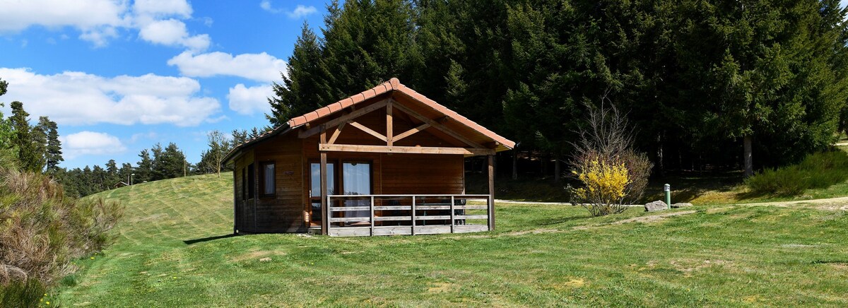 Chalet PMR - L'Orée du Pichier - Vue montagne