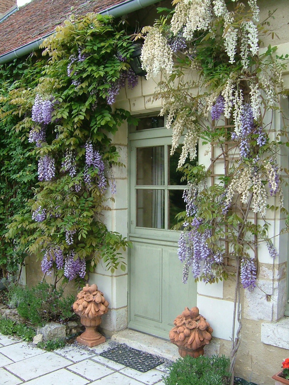 Le Clos de la Saugeure