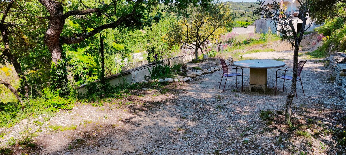 Location vacance : calme et chênes provençaux.