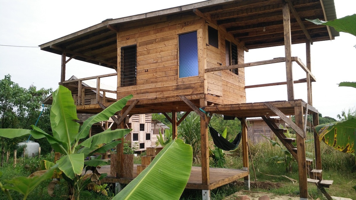 Numthang Permaculture Studio Room