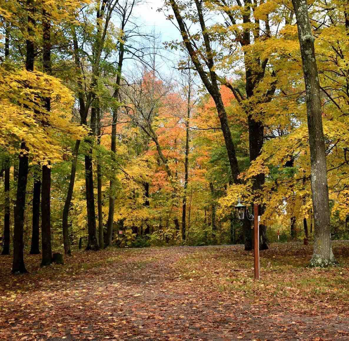 Cozy, Quiet, Lake Cottage! No cleaning fees.