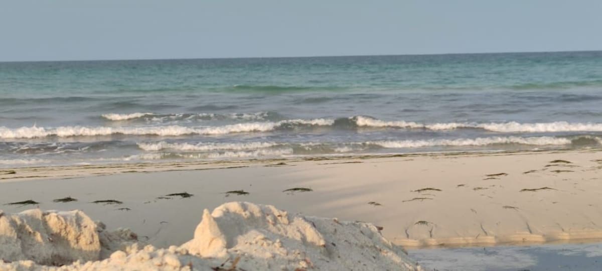 cabane pied dans l'eau