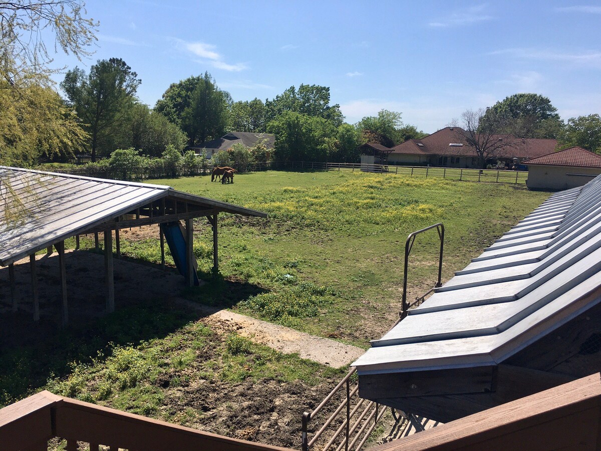 Barn Loft on Private Horse Property # 23-004876