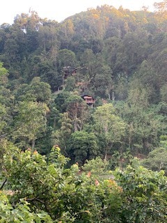 Higher Ground Treehouse Ella140平方米， 2层以上