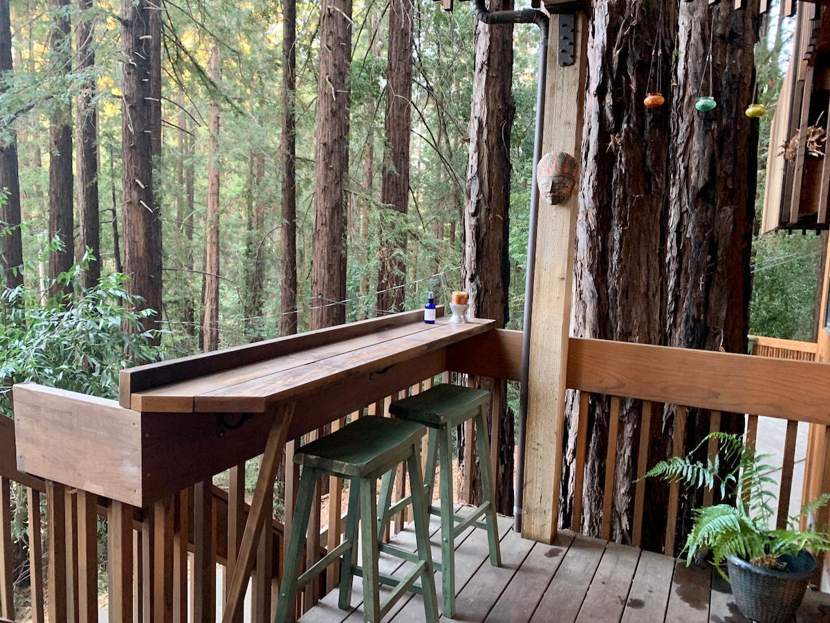 Fairfax Getaway in the Redwoods
