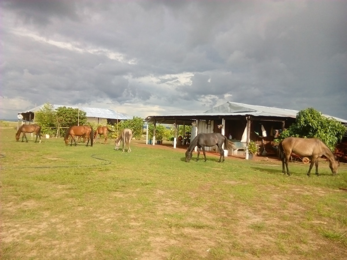 Puerto Carreño, Vichada.