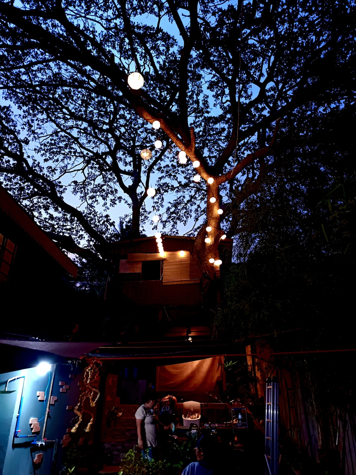 Zaia's Tree house by the beach.