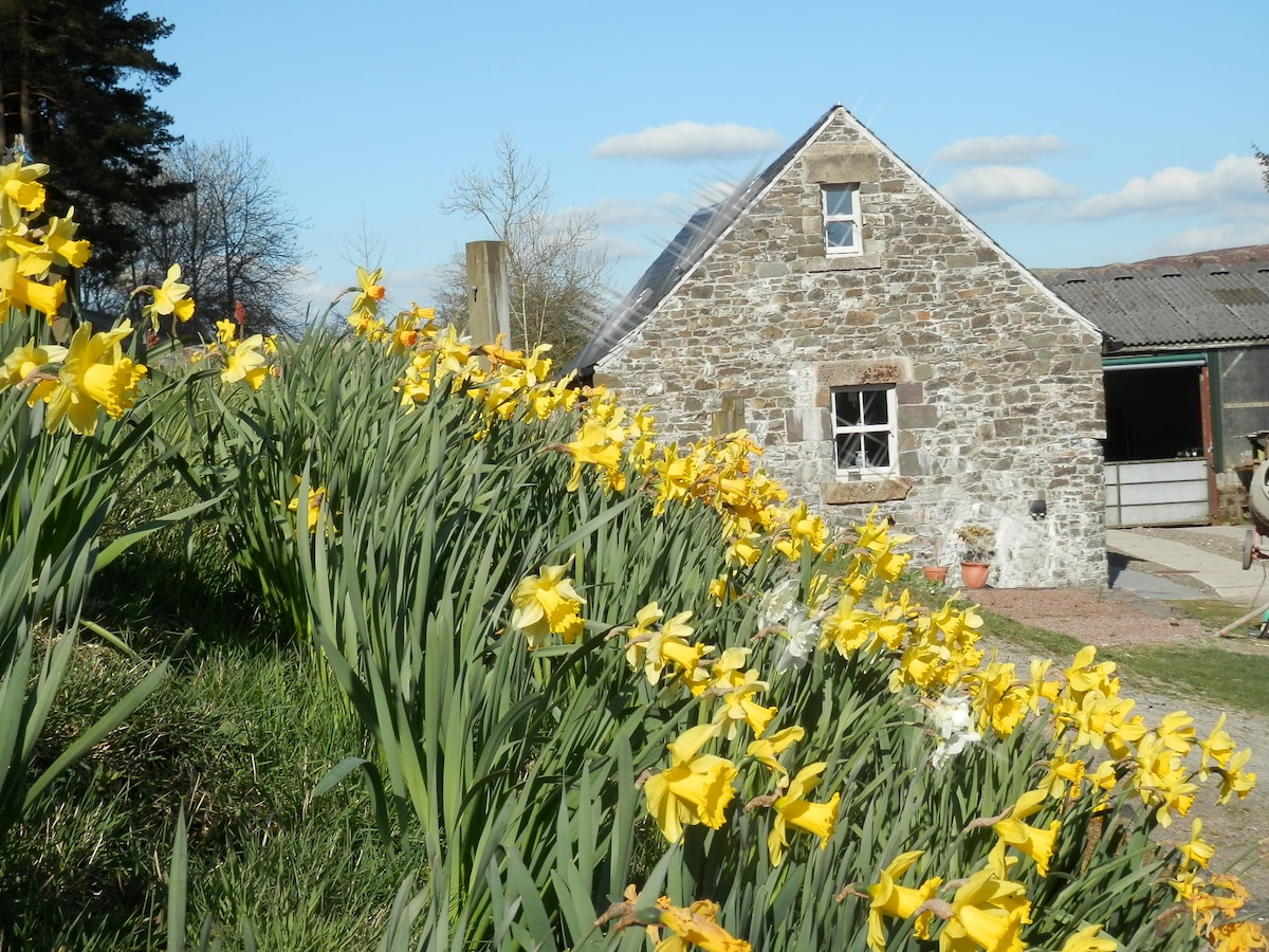 Curlew Cottage and Free Shepherd 's Hut