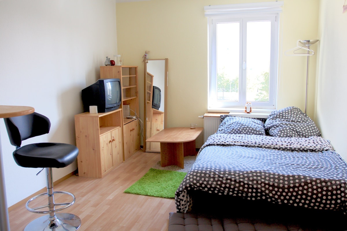 舒适的单身公寓～ 一室一厅～5层风景美丽。短租或者日租