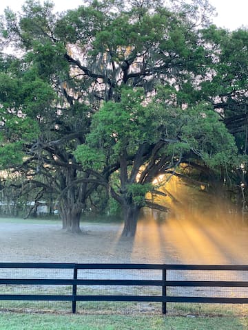 奥卡拉(Ocala)的民宿