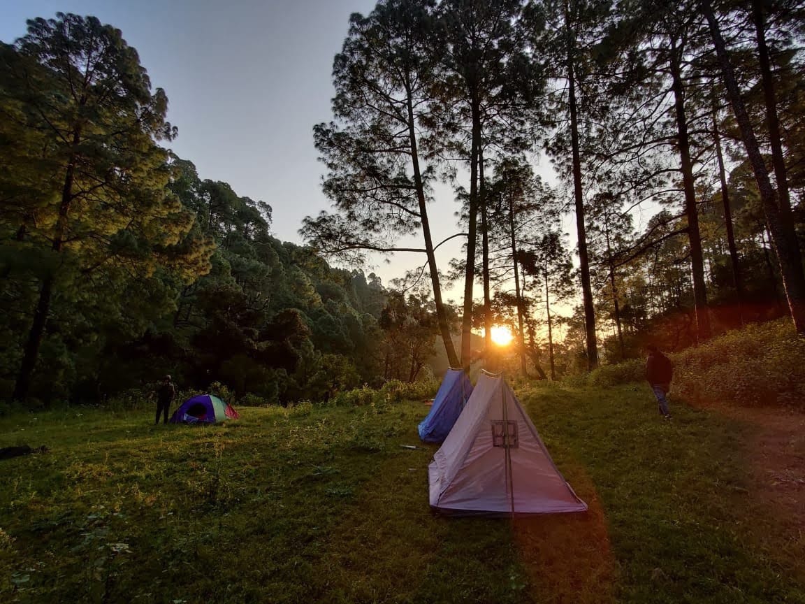 Best Jungle camping Nainital. ( bed & breakfast).