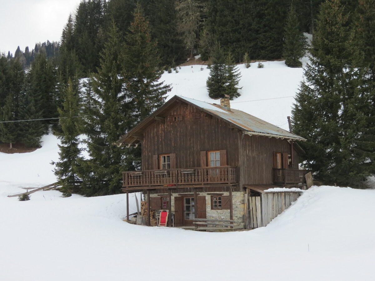 Charming old  chalet in the middle of Dolomites