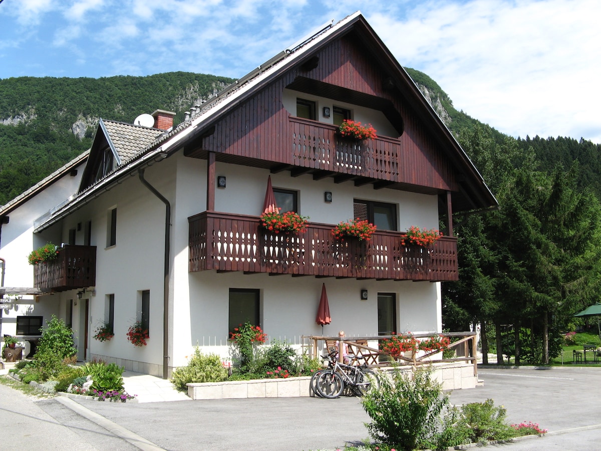 Holiday house Na vasi Bohinj, for 10-20 persons