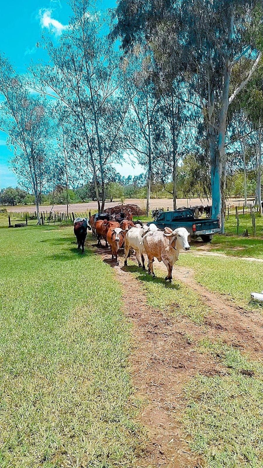 Hacienda Oasis de Bendición